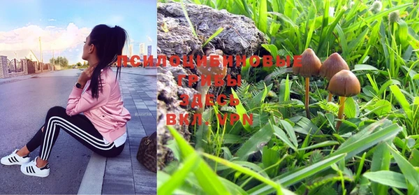 наркотики Михайлов