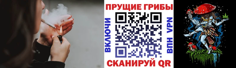 Псилоцибиновые грибы MAGIC MUSHROOMS  Купить где  Великий Новгород 