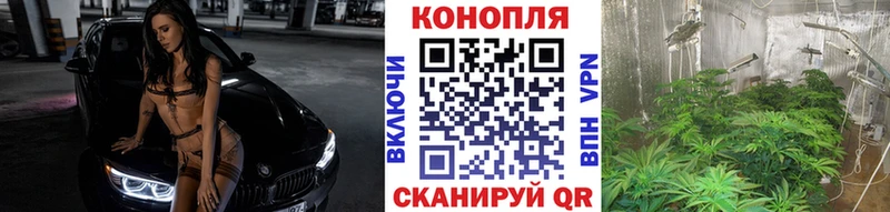 Конопля гибрид  Купить  Великий Новгород 